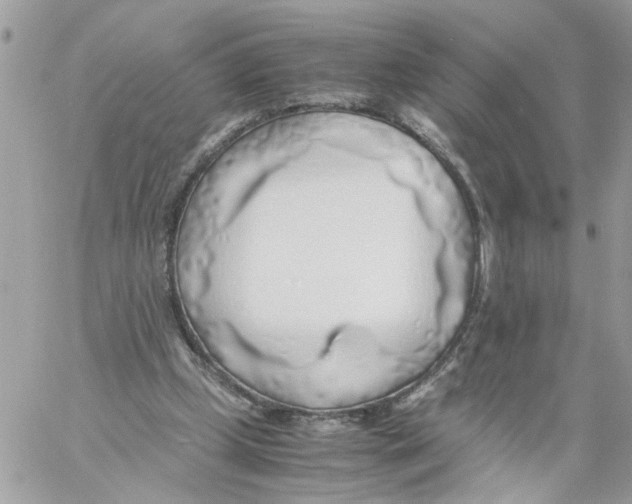 X0000058130249200510212053