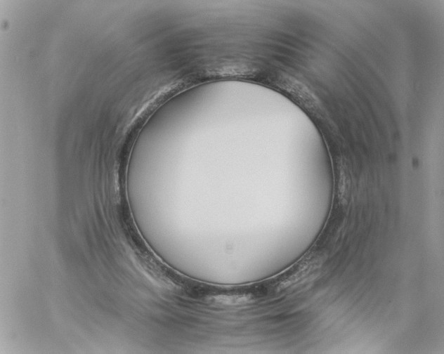 X0000058130251200510212053