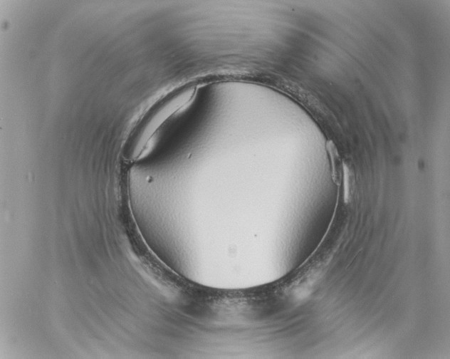 X0000058130252200510212053