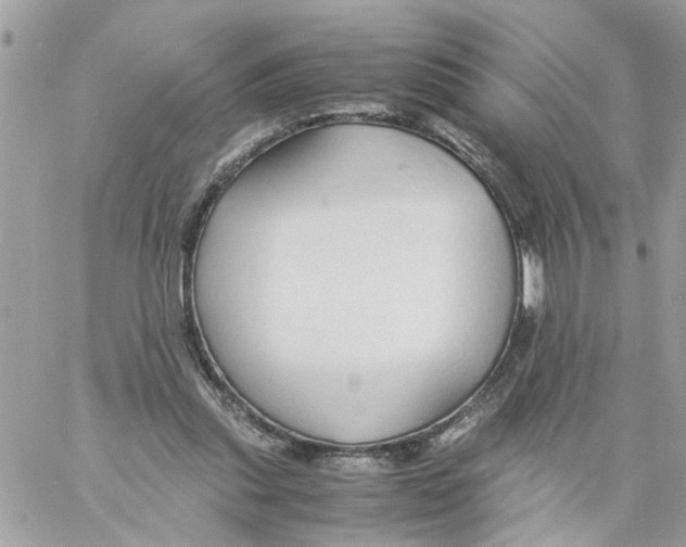 X0000058130253200510212053