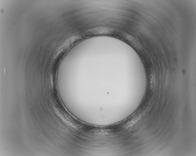 X0000058130254200510212053