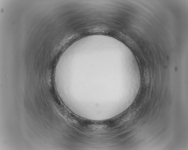 X0000058130255200510212053