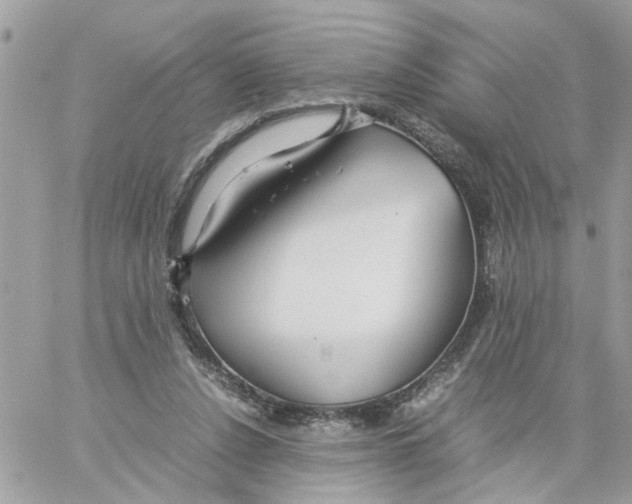 X0000058130256200510212053