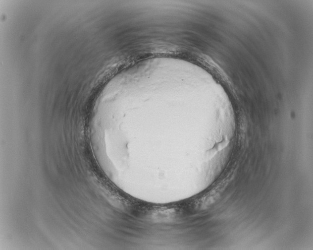 X0000058130257200510212053