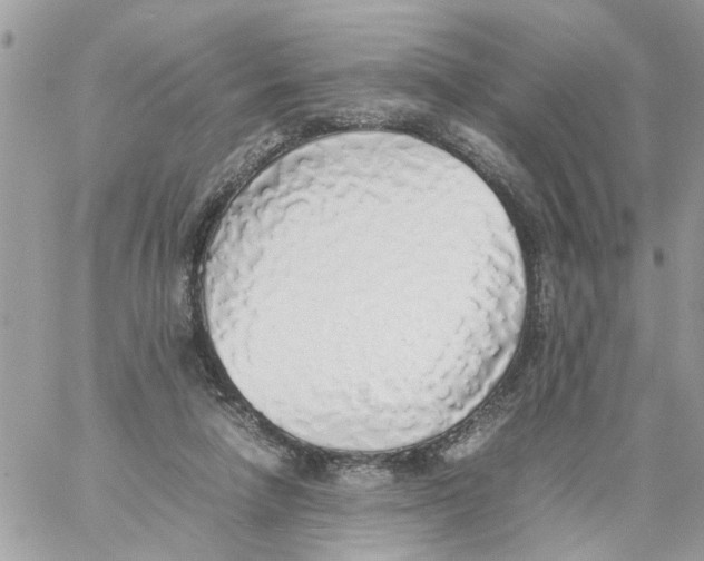 X0000058130258200510212053