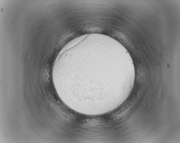 X0000058130259200510212053