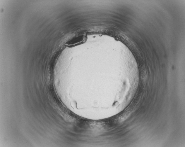 X0000058130261200510212053