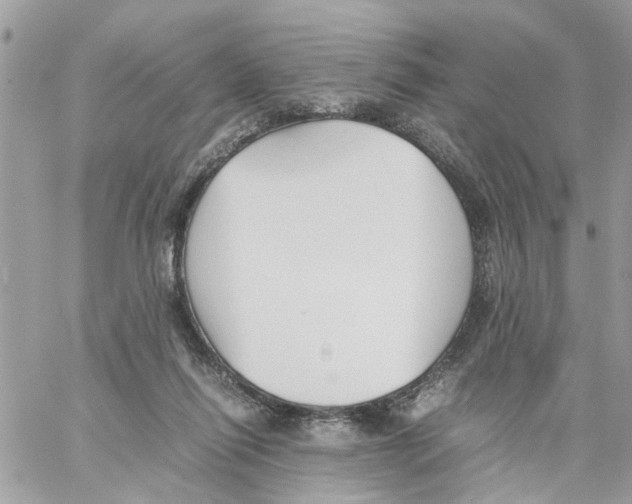 X0000058130262200510212053