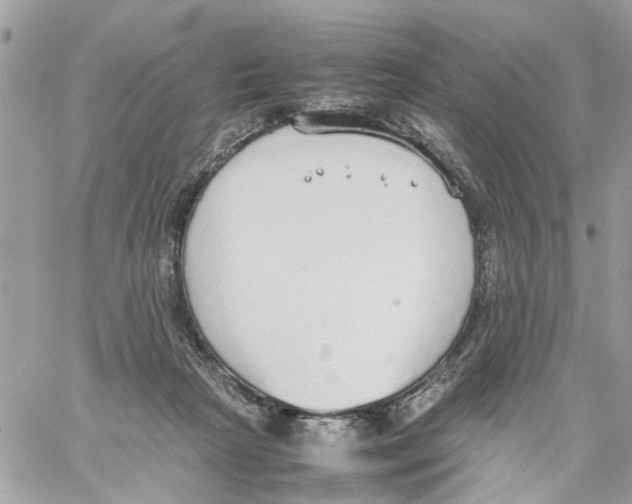 X0000058130265200510212053