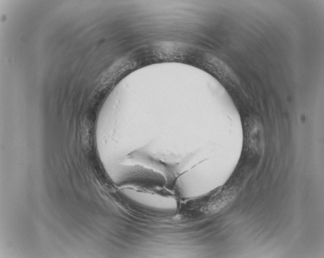 X0000058130266200510212053