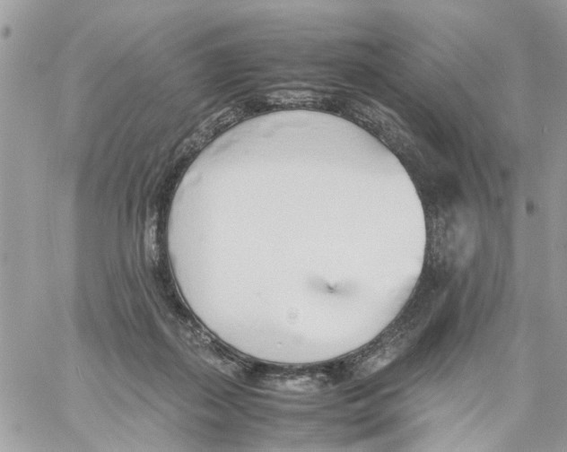 X0000058130267200510212053