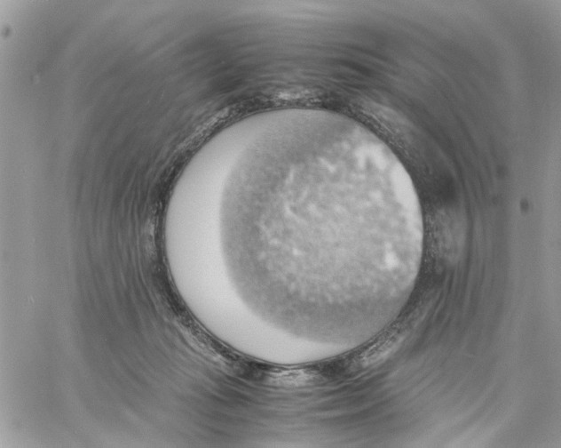 X0000058130269200510212053