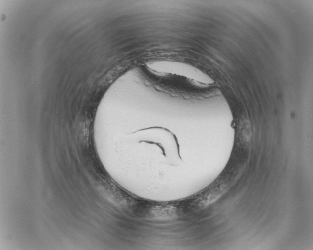 X0000058130271200510212053