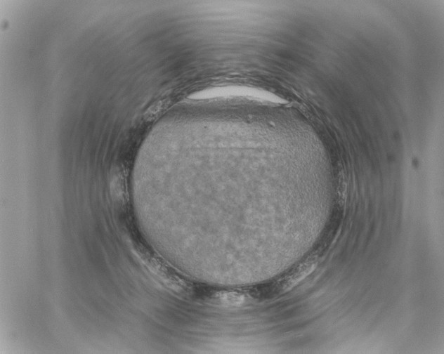 X0000058130272200510212053