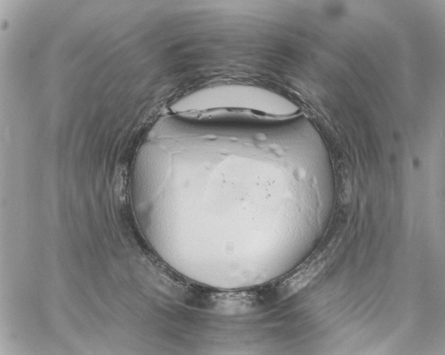 X0000058130273200510212053