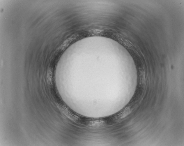 X0000058130274200510212053