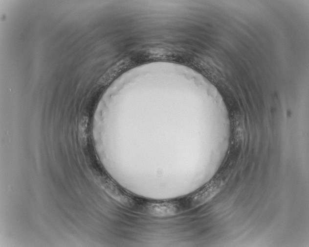 X0000058130275200510212053