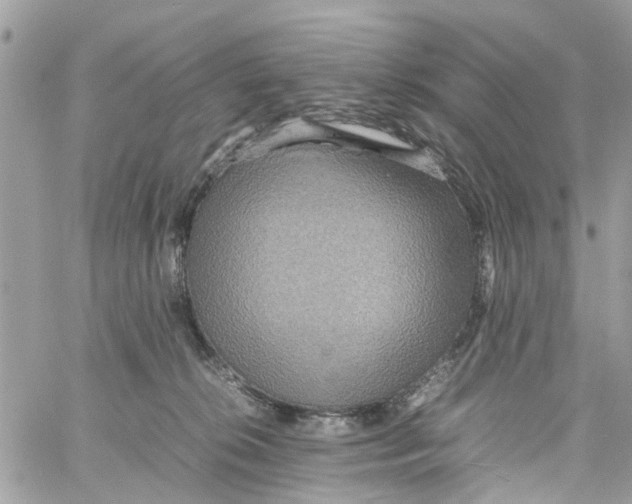 X0000058130276200510212053