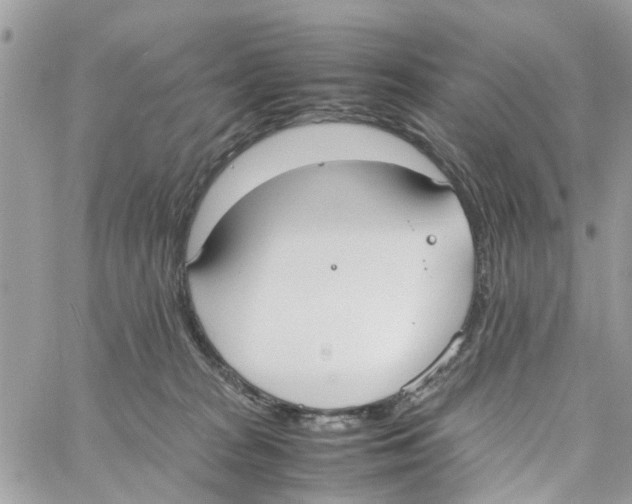 X0000058130277200510212053