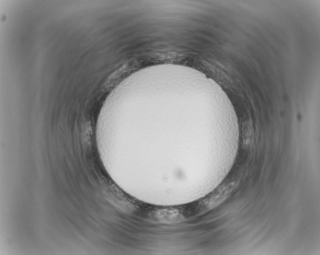 X0000058130279200510212053