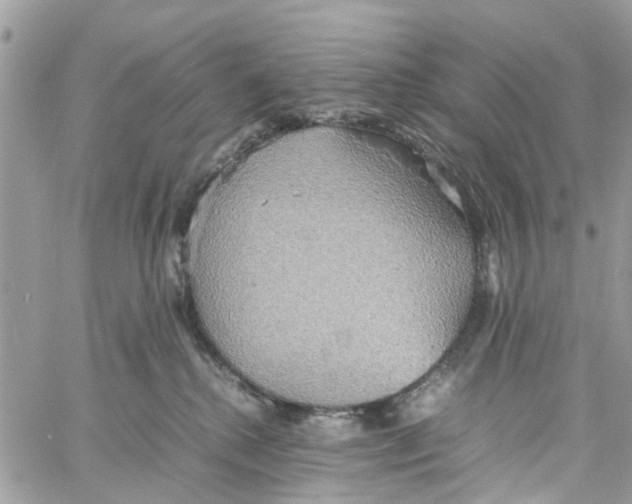 X0000058130280200510212053