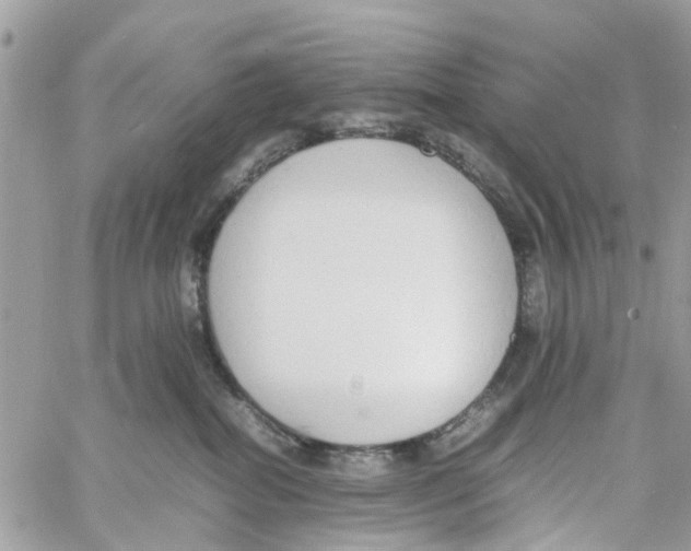 X0000058130282200510212053