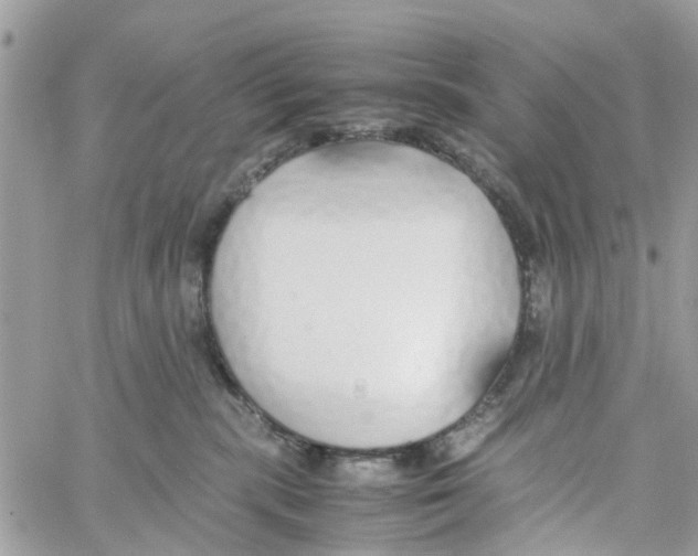 X0000058130283200510212053