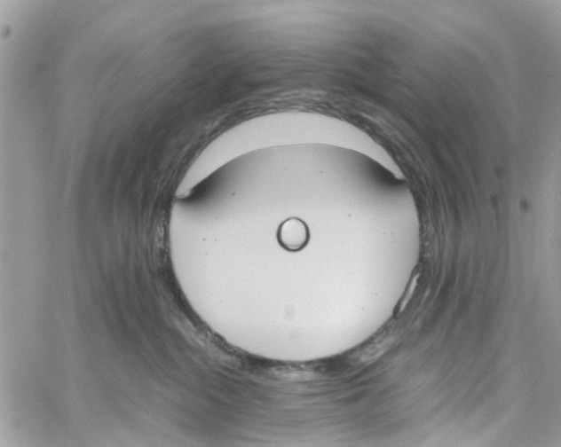 X0000058130284200510212053