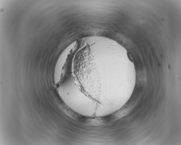 X0000058130286200510212053