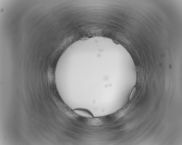 X0000058130287200510212053