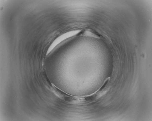 X0000058130288200510212053