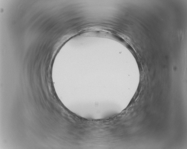 X0000058130289200510212052