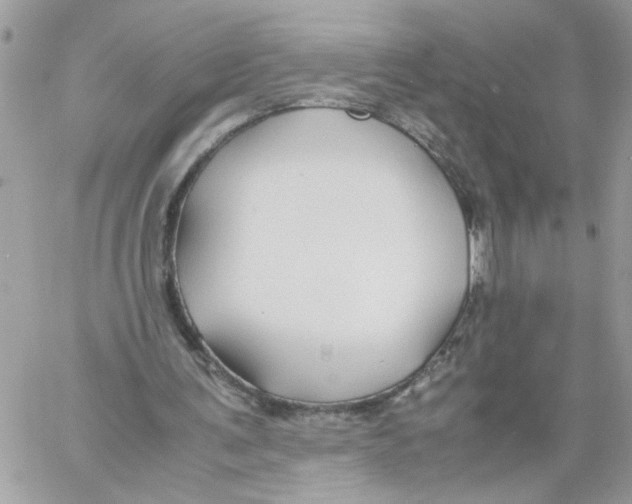 X0000058130291200510212052