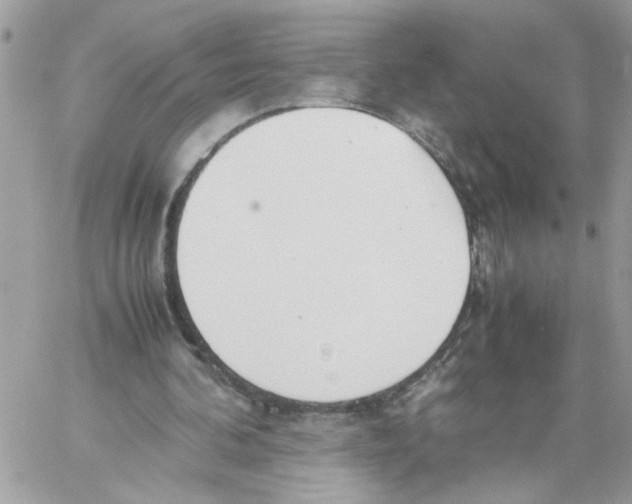 X0000058130292200510212052