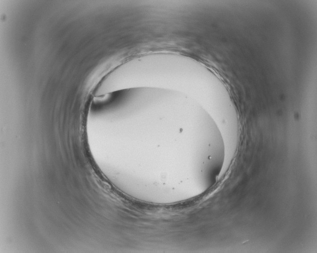 X0000058130293200510212052