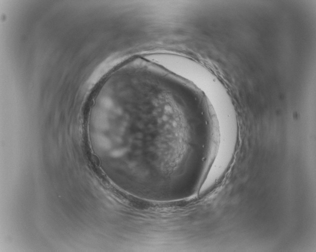 X0000058130295200510212052