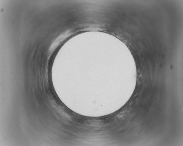 X0000058130296200510212052