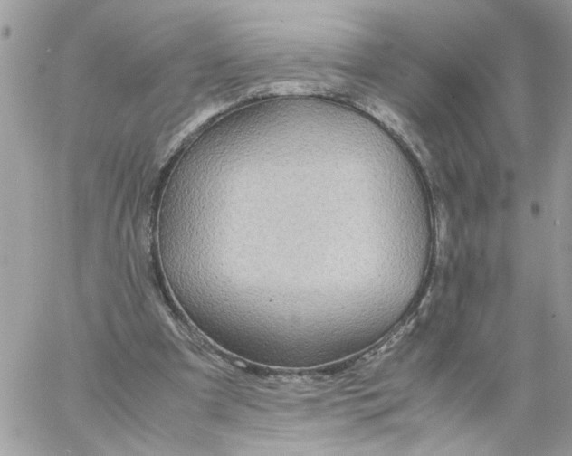 X0000058130297200510212052