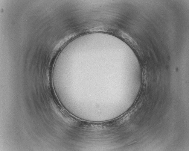 X0000058130298200510212052