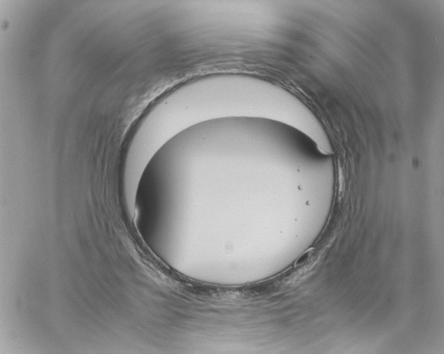 X0000058130301200510212052