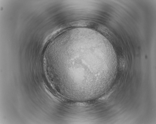 X0000058130302200510212052