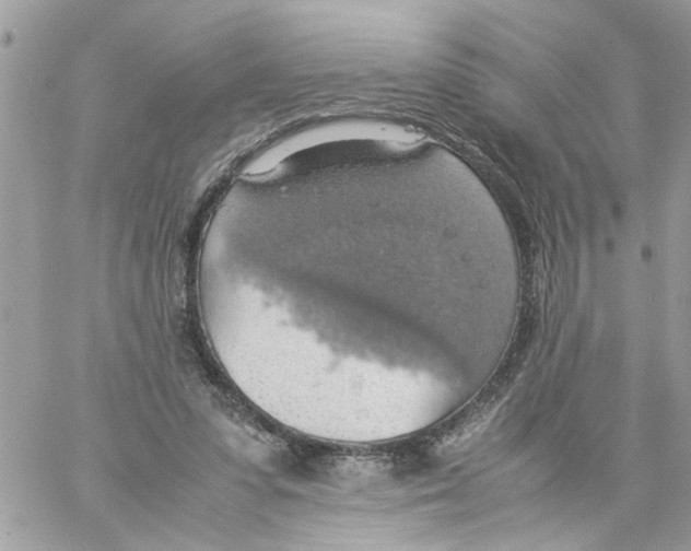 X0000058130303200510212052