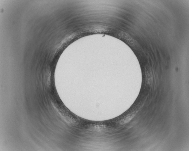 X0000058130304200510212052