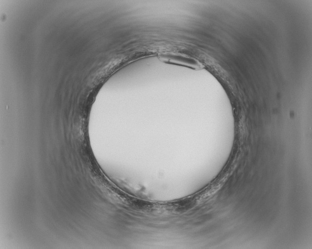 X0000058130305200510212052