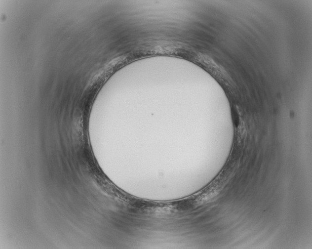 X0000058130306200510212052