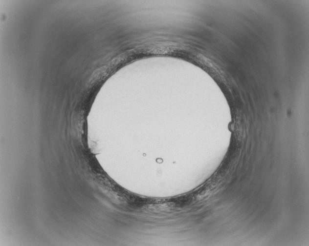 X0000058130307200510212052