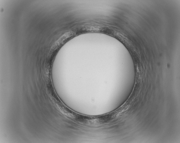 X0000058130309200510212052