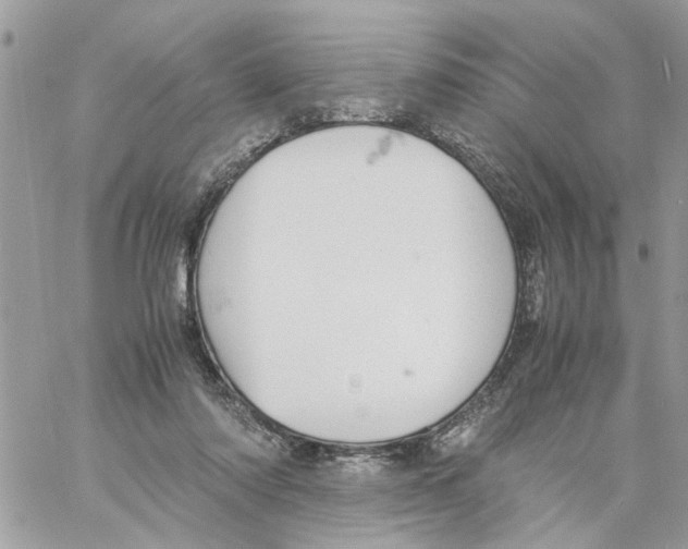 X0000058130310200510212052