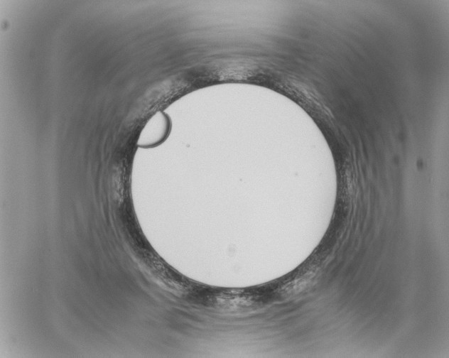 X0000058130311200510212052