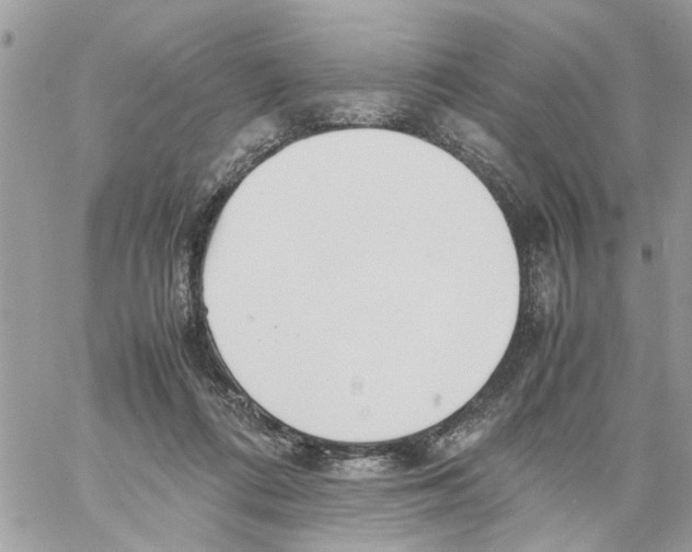 X0000058130312200510212052